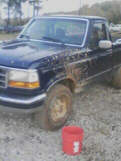 1995 Ford F-150 “oleblue”