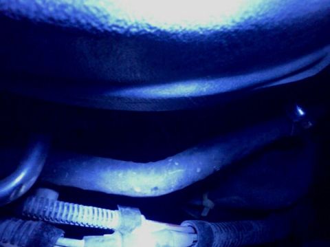 1995 Ford F-150 photo