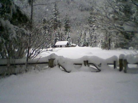 1990 Ford Bronco - A winter scene shows a snow-covered landscape with a small building among trees.