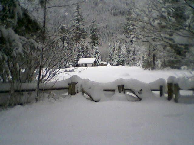 snowy scene with trees, a fence, and a small cabin in the distance