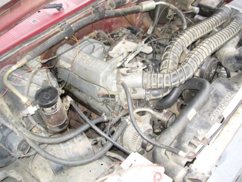 1983 Ford Bronco - Most of this needs to go.