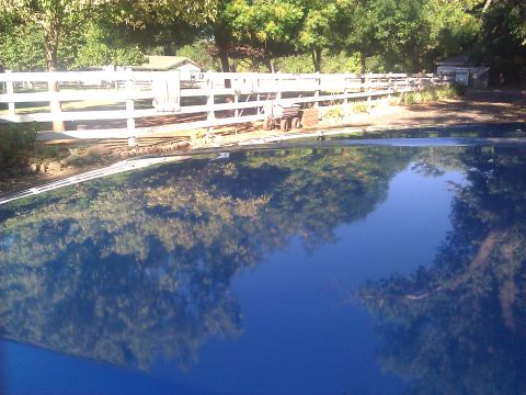 1992 Ford F-150 - The hood of a blue vehicle reflects a rural scene with trees and a white fence.