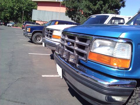 1992 Ford F-150 - Several Ford F-Series trucks are parked in a lot, with the front of a blue 1992 F-150 in the foreground.