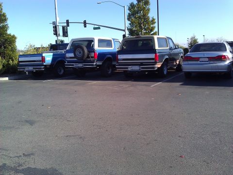1992 Ford F-150 - Rear view of two Ford Broncos and a Ford F-150 pickup truck parked in a lot.