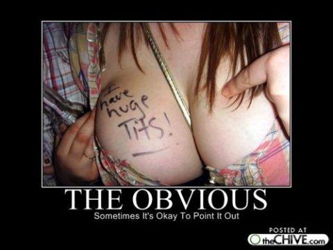 1994 Ford Bronco - A humorous meme text written on a woman's chest, with the caption 'THE OBVIOUS'.