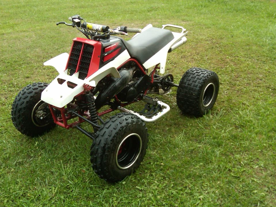 1995 Yamaha BANSHEE ATV parked on grass