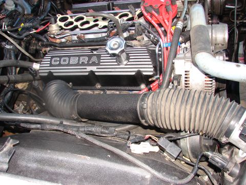1973 Ford Ranchero - Close-up of an engine bay "COBRA" branded valve covers and red spark plug wires.