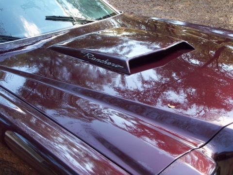 1979 Ford Ranchero - Original 1969 Cougar Eliminator hood scoop, kept/used as much FOMOCO parts as possible.