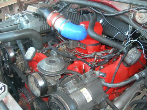 1984 Ford Bronco - Engine bay with a supercharger installed, showing various hoses, belts, and engine components.
