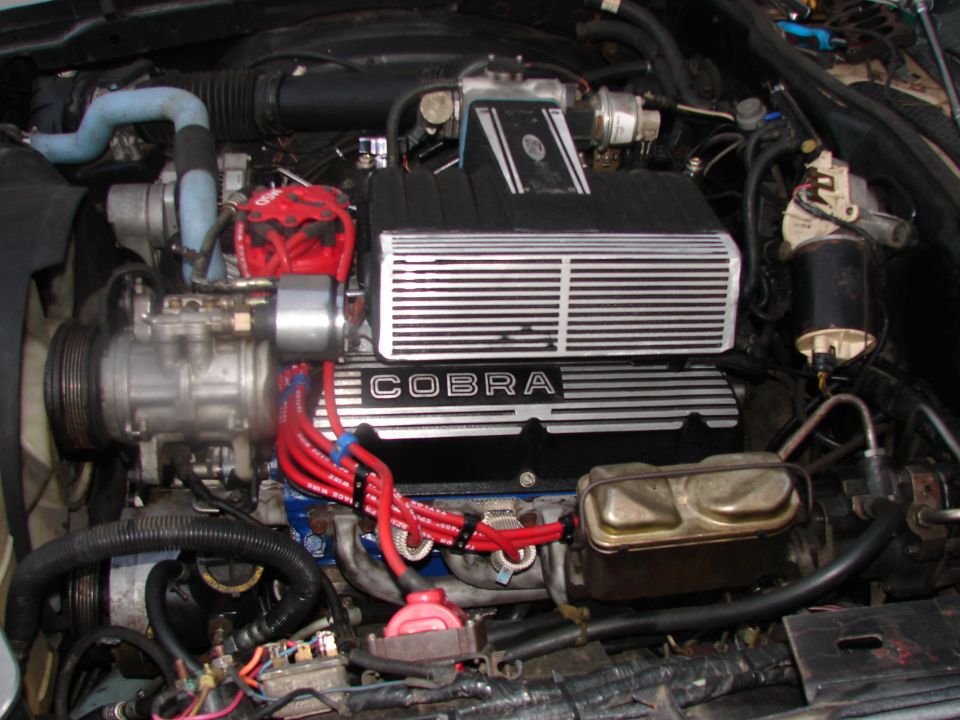Engine bay with a Cobra engine. Shows the intake manifold, distributor, and brake fluid reservoir