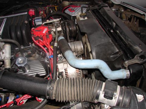 1973 Ford Ranchero - Close-up view of an engine bay, an MSD ignition system and a blue coolant hose.