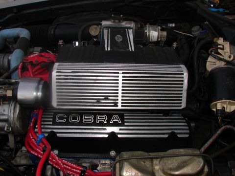 1973 Ford Ranchero - Close-up of an engine bay Cobra valve covers and red spark plug wires.