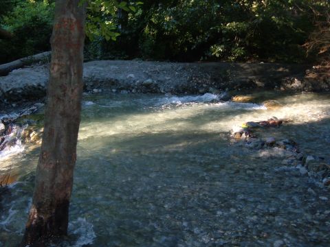 1988 Ford Bronco - A river flows through a rocky streambed, surrounded by trees and foliage.