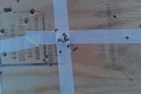 2000 Mercury Grand Marquis - A wooden surface is marked with tape and numerous bullet holes, with some text partially visible on the wood.