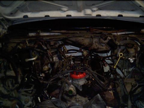 1991 Ford LTD Crown Victoria - A nearly-free wheezer 5.0