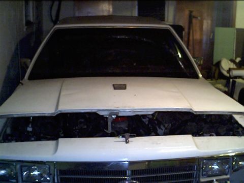 1991 Ford LTD Crown Victoria - My thought on a hood badge, the original 5.0 engine plate. Not bad, eh?