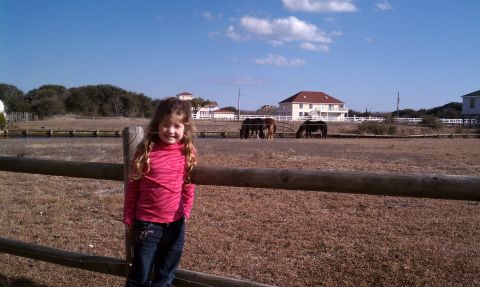 1979 Ford Bronco - A young girl poses in a field with horses and houses visible in the background under a clear blue sky.
