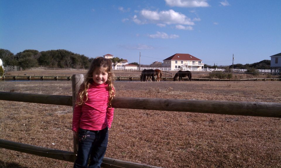 Young girl in pink shirt and jeans stands in front of a wooden fence; horses graze in a field behind her with houses in the distance