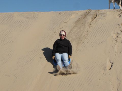 1979 Ford Bronco - A person enjoys a sandy descent on a blue disc, with a dog visible on the dune crest.