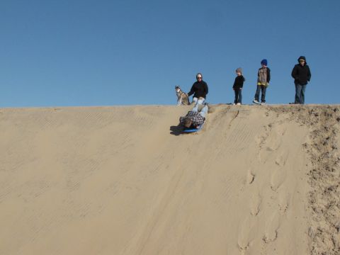 1979 Ford Bronco - A group of people and a dog enjoy a sunny day on a sand dune, with one person sledding down the slope.