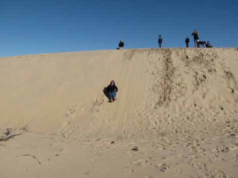 1979 Ford Bronco - People enjoy a sunny day sliding down a large sand dune.