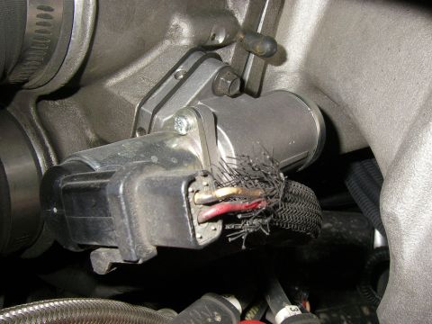 1990 Ford Bronco - The protective mesh on this engine wiring harness has been chewed through, exposing the wires.