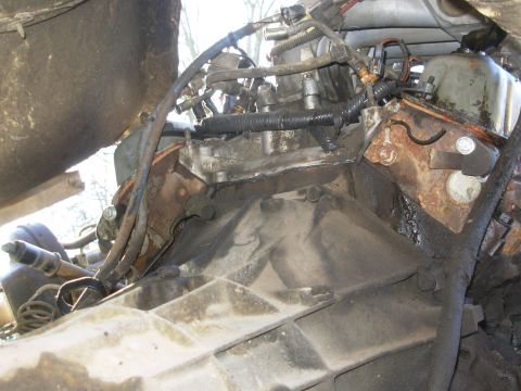 1983 Ford Bronco - Yeah, pulling the emissions systems makes them run SO much better...