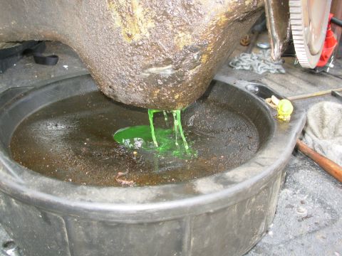 1983 Ford Bronco - The first thing to come out of the oil drain was nice fresh coolant. [url=https://www.supermotors.net/registry/media/902366] https://www.su…