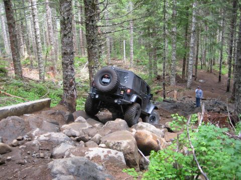 2008 Jeep Wrangler - A black 2008 Jeep Wrangler tackles a challenging rocky path through a dense forest.