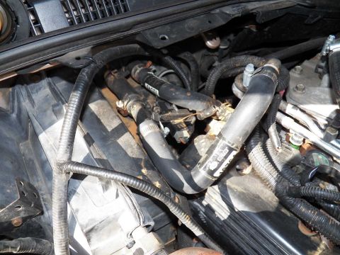 1993 Ford Crown Victoria - Close-up view of engine coolant hoses and associated wiring within the engine compartment.