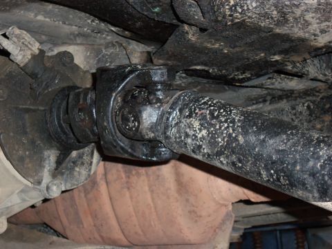 1989 Ford Bronco - Underside view of a vehicle's driveshaft and differential assembly, showing the U-joint connection.
