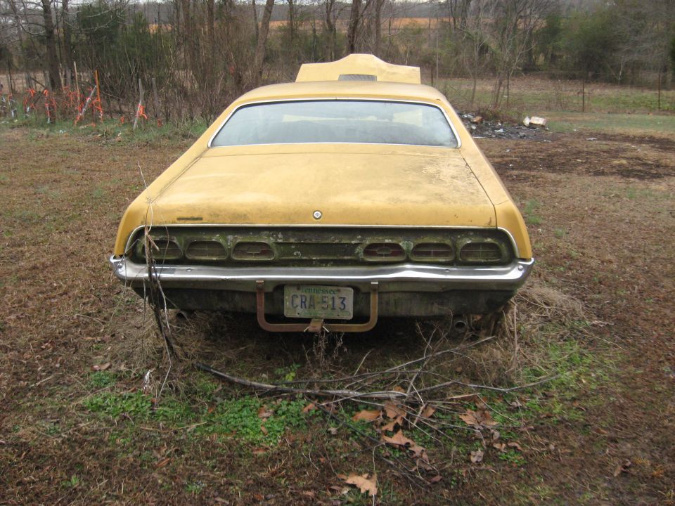 Rear view of a dirty yellow classic car with Tennessee plate CRA-513, parked in an overgrown field