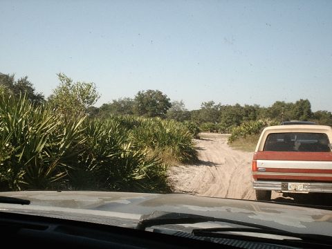 1996 Ford Bronco - A red and white SUV drives down a sandy, rutted road surrounded by palm trees and other vegetation.
