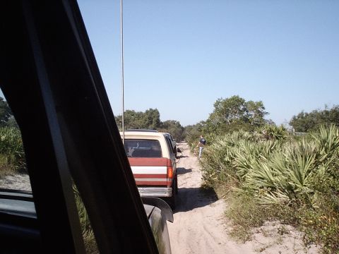 1996 Ford Bronco - A line of vehicles travels down a dusty, unpaved road surrounded by dense vegetation under a clear blue sky.