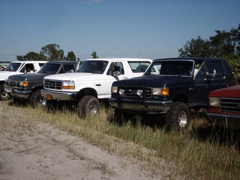 1996 Ford Bronco - Several Ford Broncos are lined up on a sandy area with grass under a clear blue sky.