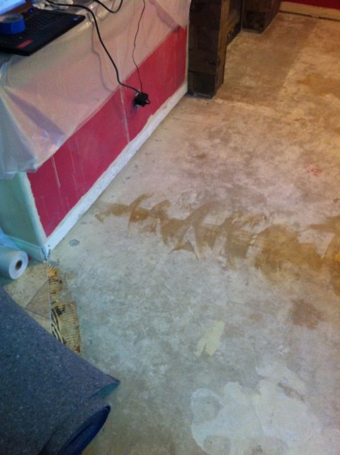 1989 Yugo Cabrio - The image shows an unfinished basement floor with prominent water stains and a roll of carpet in the foreground. A laptop and some construc…