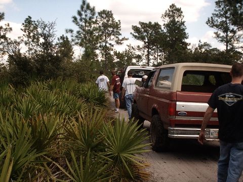 1996 Ford Bronco - A group of people stand near a red Ford Bronco and a white SUV on a dirt road surrounded by vegetation.
