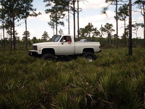 1996 Ford Bronco - White pickup truck modified with a lift kit and large tires navigates through a natural landscape.