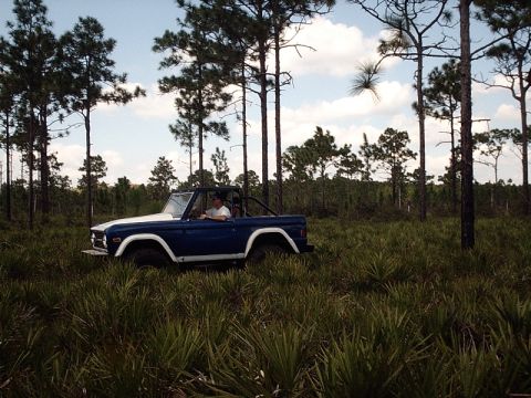 1996 Ford Bronco - A blue and white Bronco navigates through a grassy, wooded area under a partly cloudy sky.