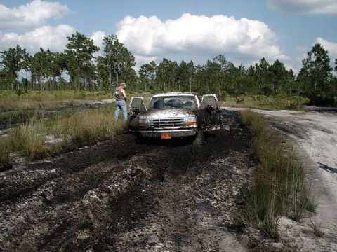 1996 Ford Bronco - A 1995 Ford F-150 is stuck in the mud with its doors open, surrounded by trees and a cloudy sky.