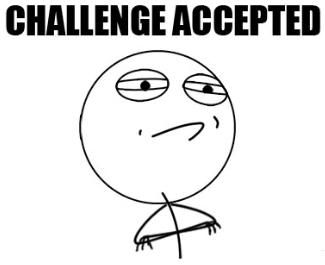1993 Ford Taurus - This meme image features the text 'CHALLENGE ACCEPTED' above a stick figure with a doubtful expression, often used to signify a reluctant a…