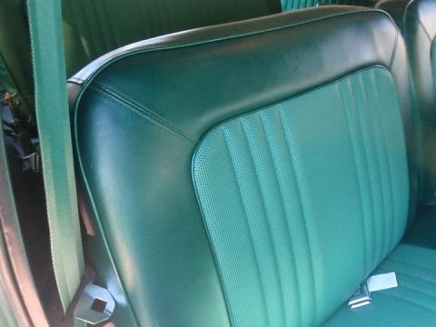 1978 Ford Bronco “green meanie, princess, crackhead delight”