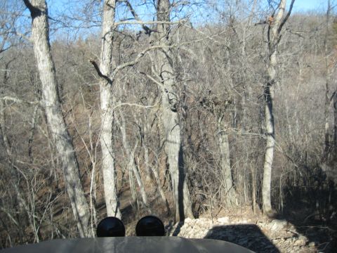 2005 Jeep Wrangler - The view from inside a vehicle shows a wooded landscape with bare trees under a clear blue sky.