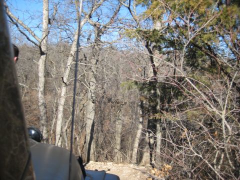2005 Jeep Wrangler - A Jeep Wrangler navigates a wooded trail on a clear day.