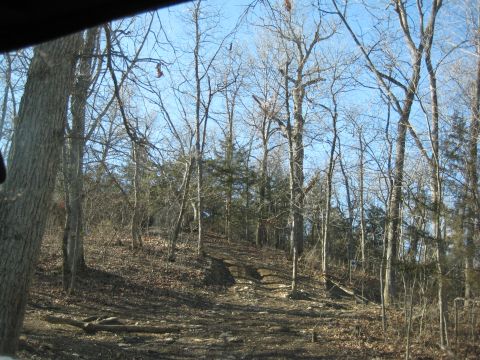 2005 Jeep Wrangler - A dirt road ascends a wooded hill on a clear day, with trees showing no leaves.