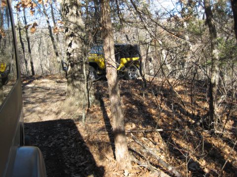 2005 Jeep Wrangler - A yellow Jeep Wrangler navigates a wooded trail, partially obscured by trees.