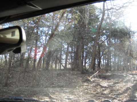 2005 Jeep Wrangler - Driving through a wooded area on a dirt road.
