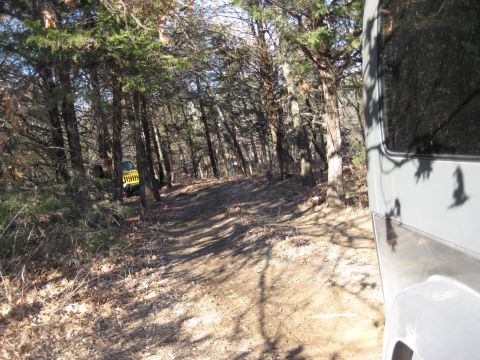 2005 Jeep Wrangler - A yellow Jeep navigates a narrow dirt path through a dense forest.