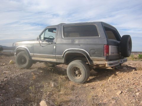 1980 Ford Bronco photo