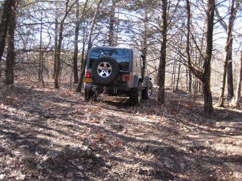 2005 Jeep Wrangler - A Jeep Wrangler navigates a wooded trail with fallen leaves on the ground.